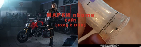 индика Саяногорск
