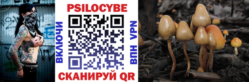 shop состав  цена   kraken вход  Агидель  Псилоцибиновые грибы Cubensis 